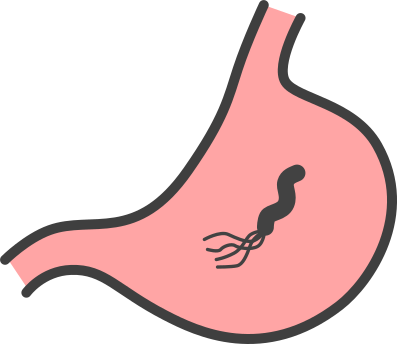ピロリ菌と胃